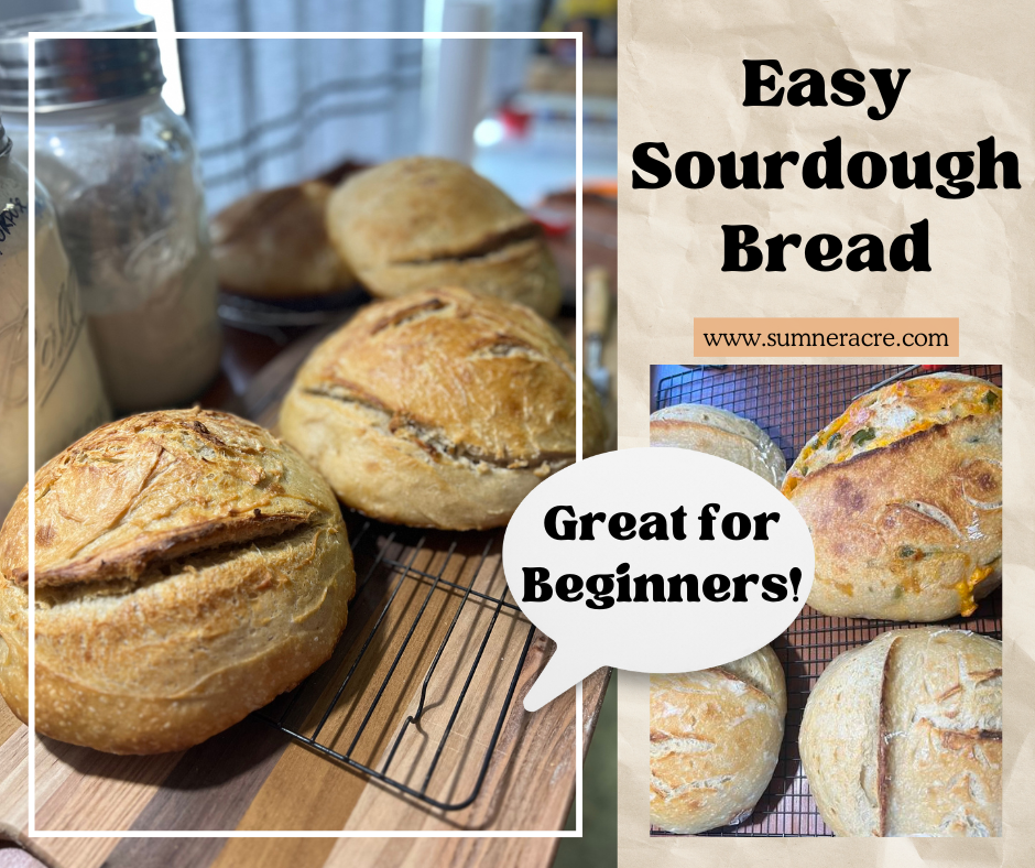 Easy Sourdough Bread