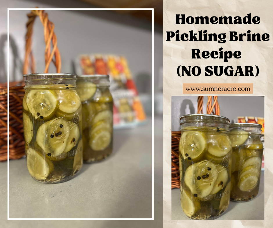 Homemade Pickling Brine Recipe (NO SUGAR)