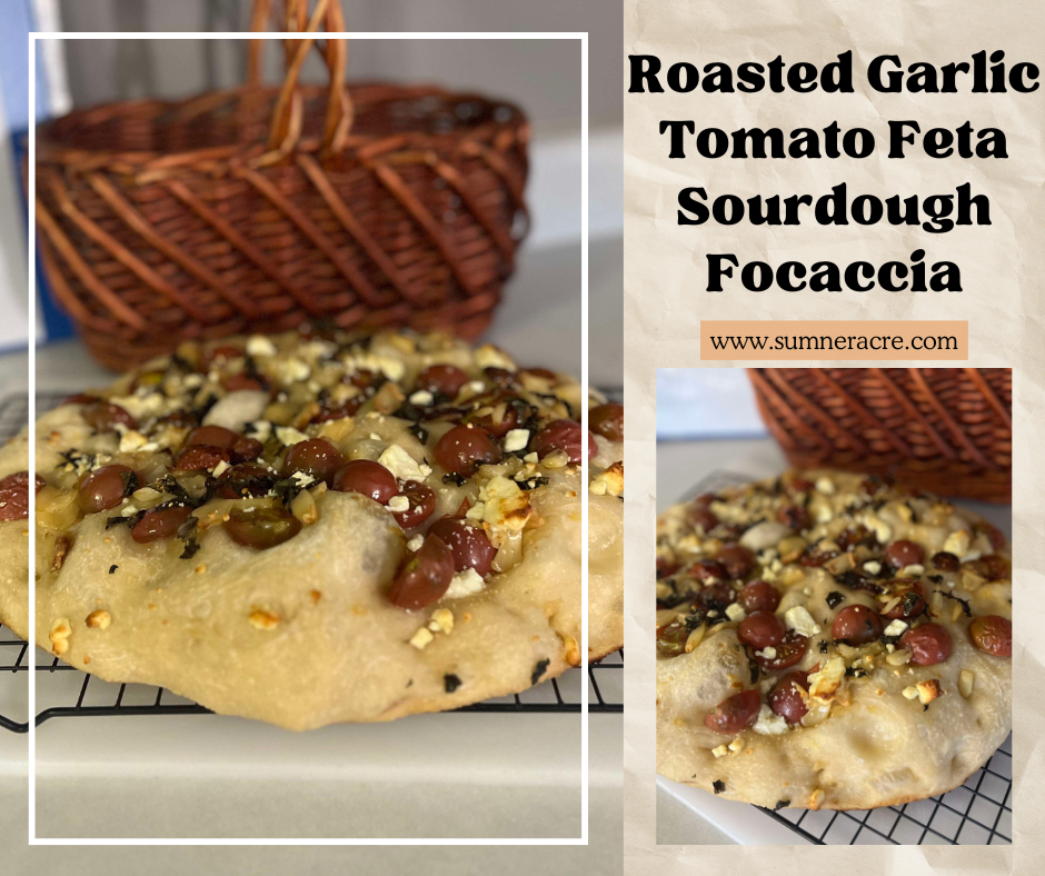 Roasted Garlic Sourdough Focaccia Bread