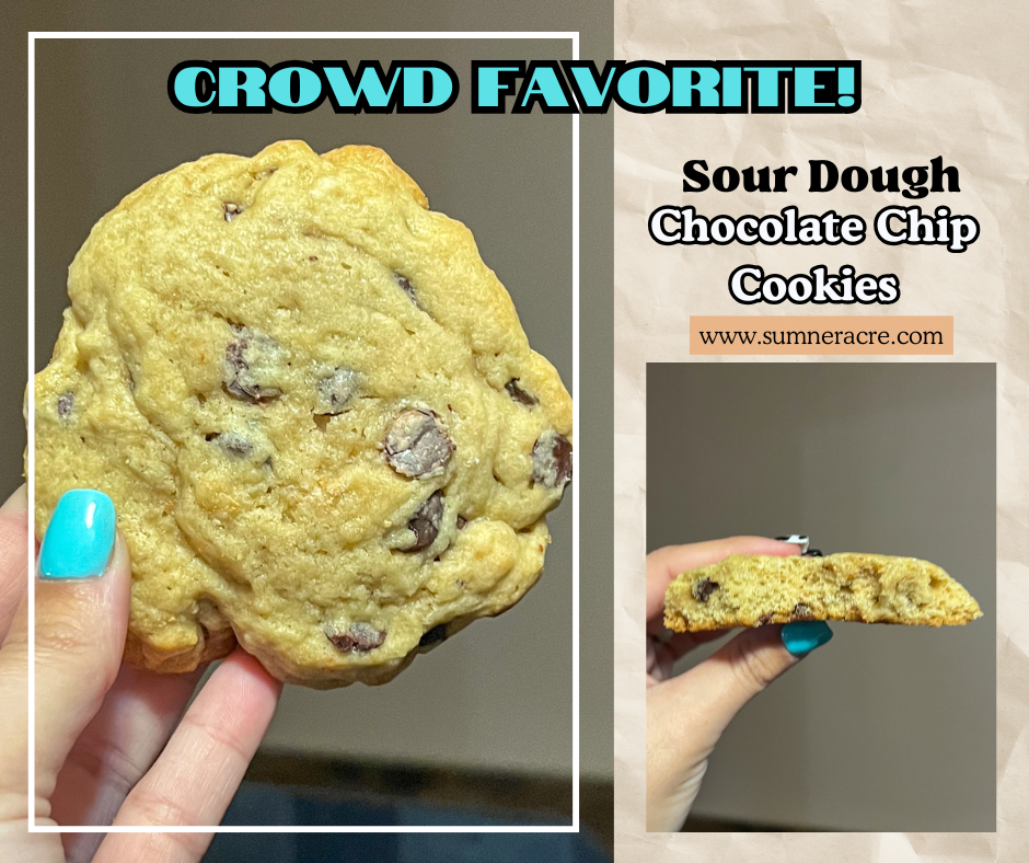 Crowd Favorite Sour Dough Chocolate Chip Cookie Recipe